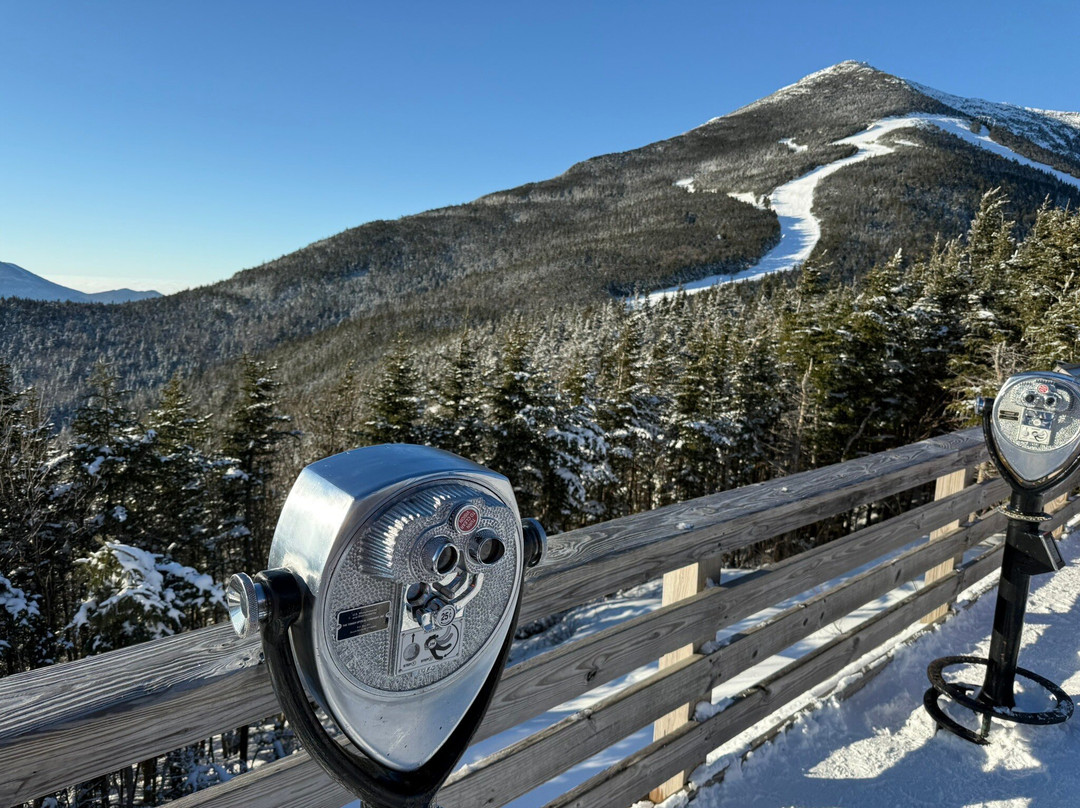 Whiteface Farm Adirondack Bed and Breakfast主图