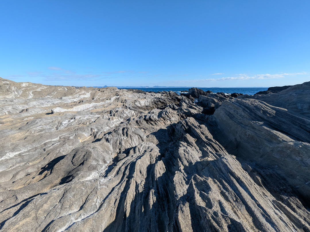 Jogashima Prefectural Park景点图片