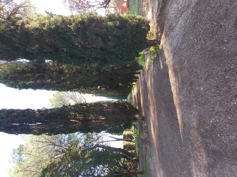 Agriturismo Borgo Santinovo-官方