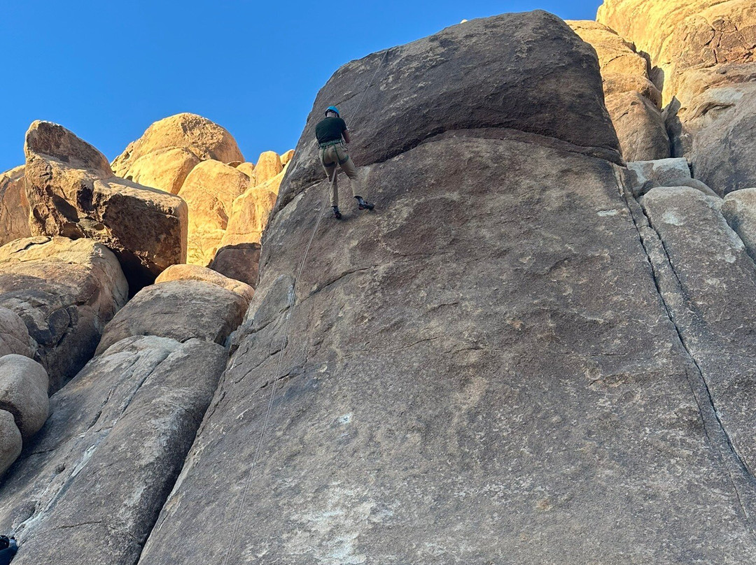 Cliffhanger Guides-约书亚树必去景点