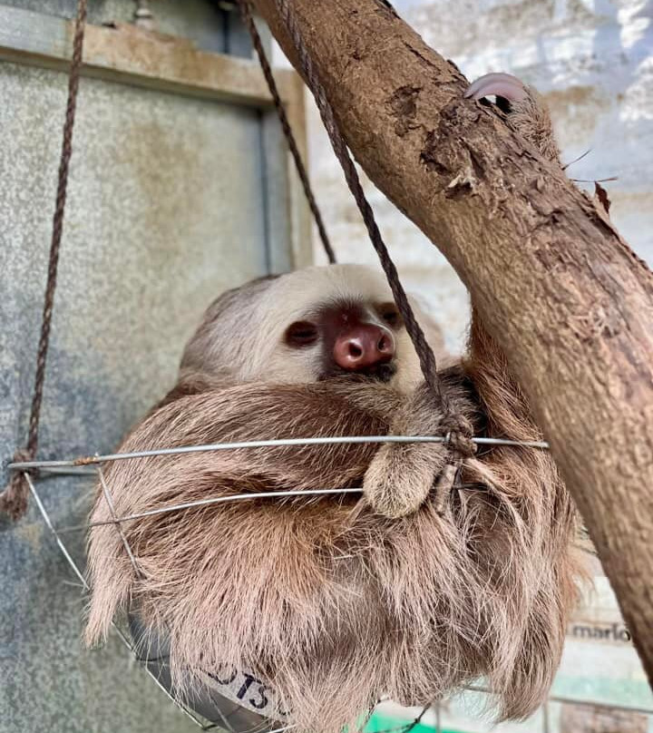 Rescue Center Costa Rica-阿拉辉拉必去景点