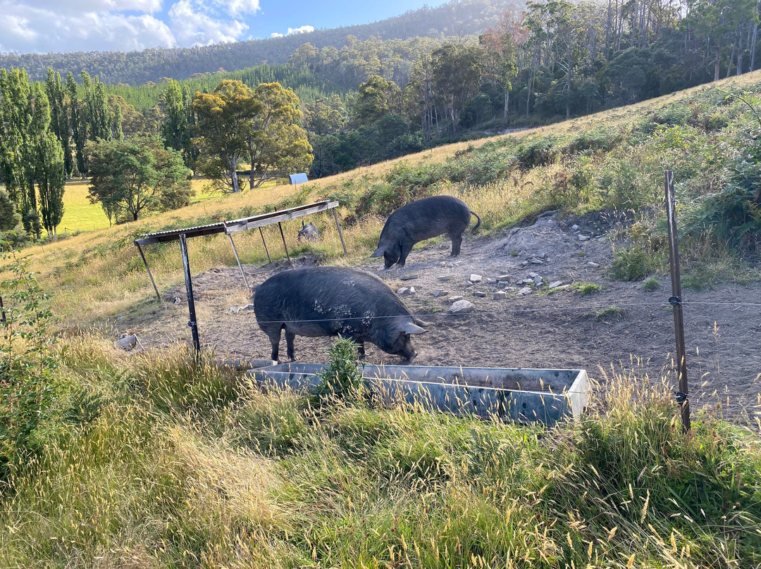 哈姆雷特丘陵地区住宿主图