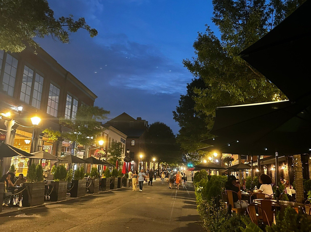 Old Town Alexandria Waterfront-亚历山德里亚必去景点
