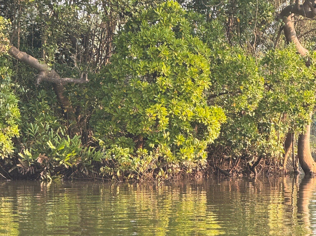 Jake The Snake Boat Trip景点图片