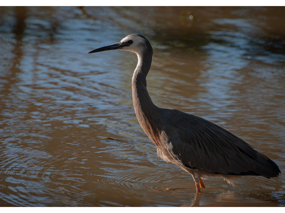 Balyang Sanctuary-季隆必去景点