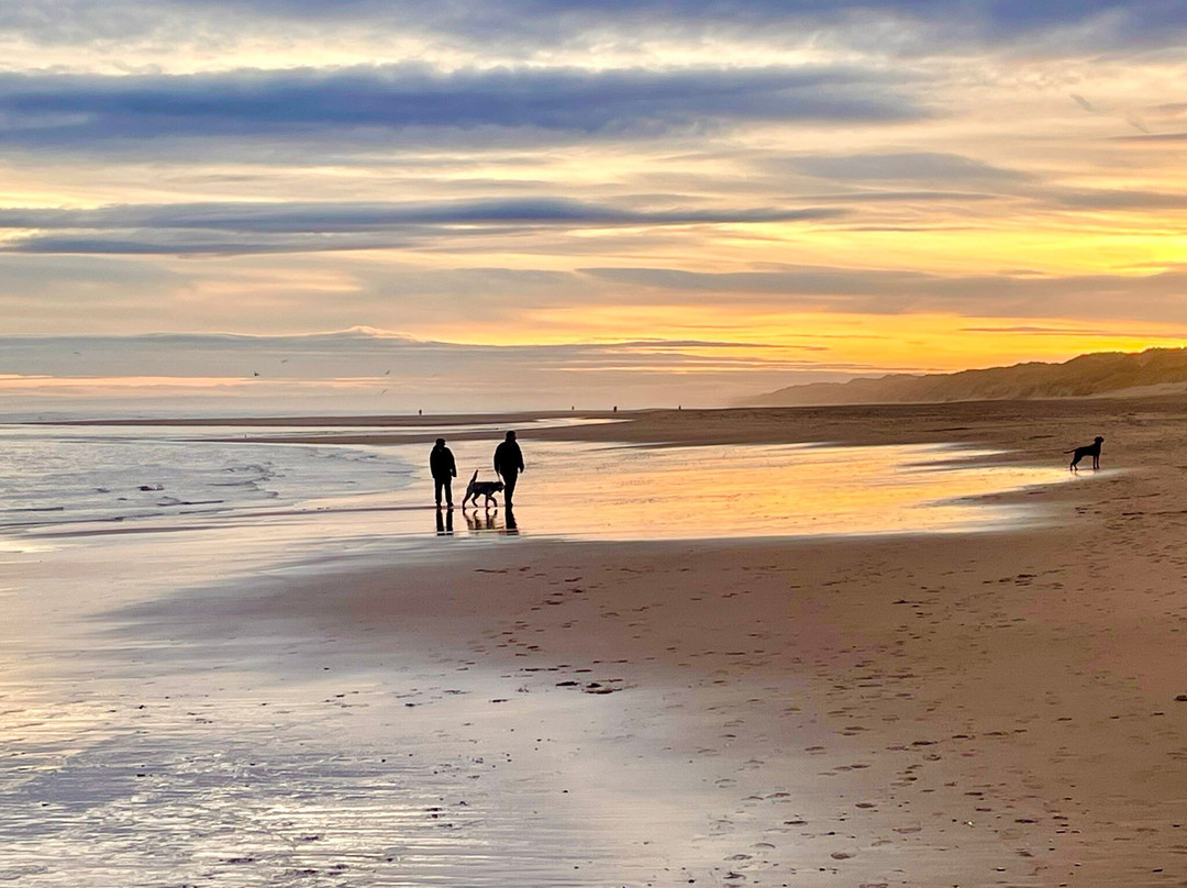 Newburgh Seals Beach-Newburgh必去景点