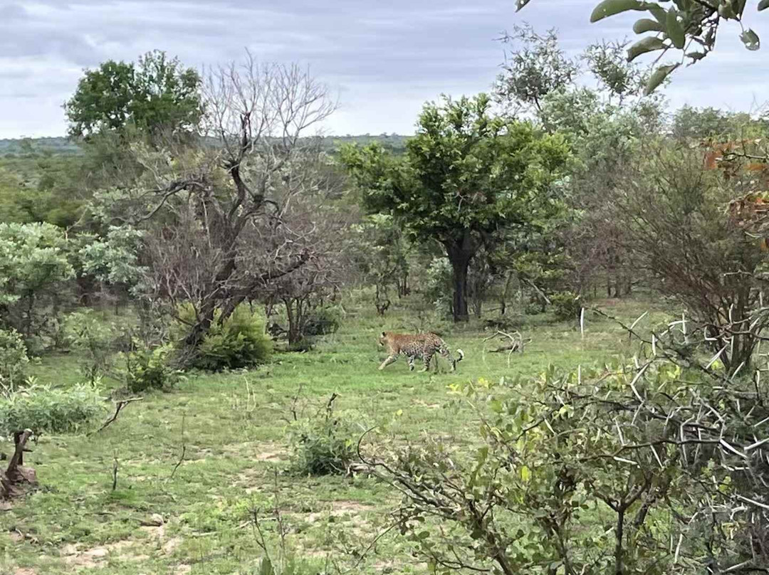 Canuel Tours And Safaris-雾观必去景点