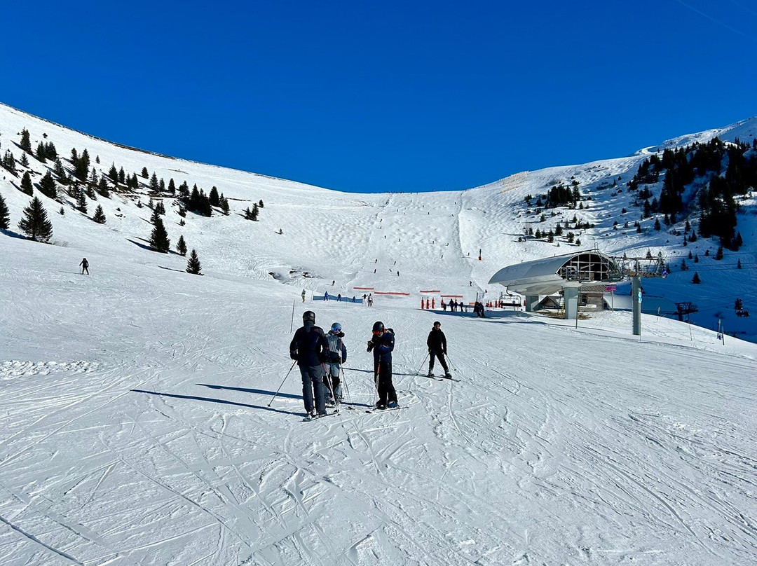 ZigZag Ski School景点图片