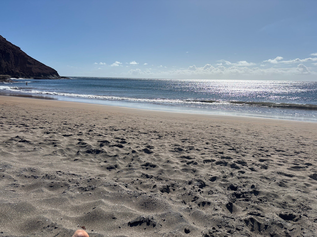 Playa de la Tejita-El Medano必去景点