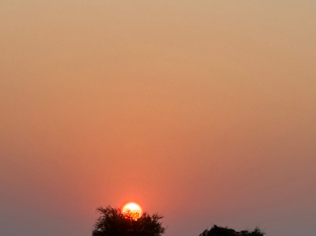 Dholavira Homestay主图