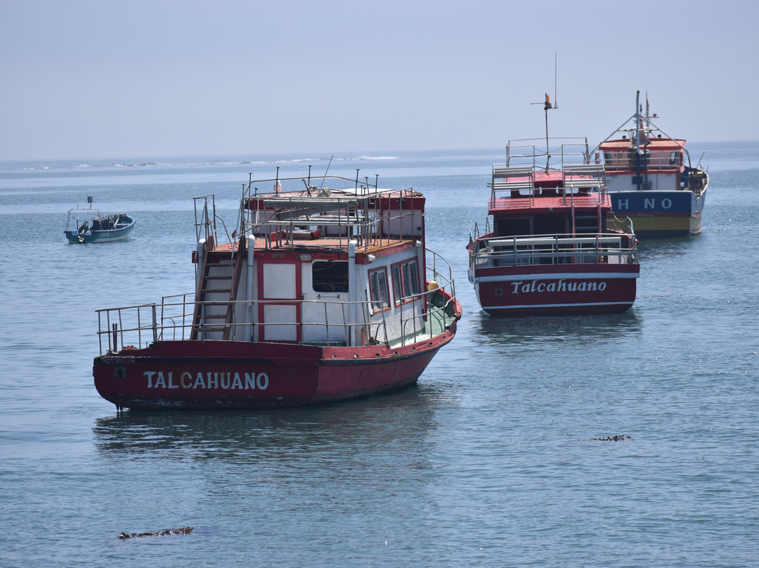 Caleta Tumbes-Talcahuano必去景点