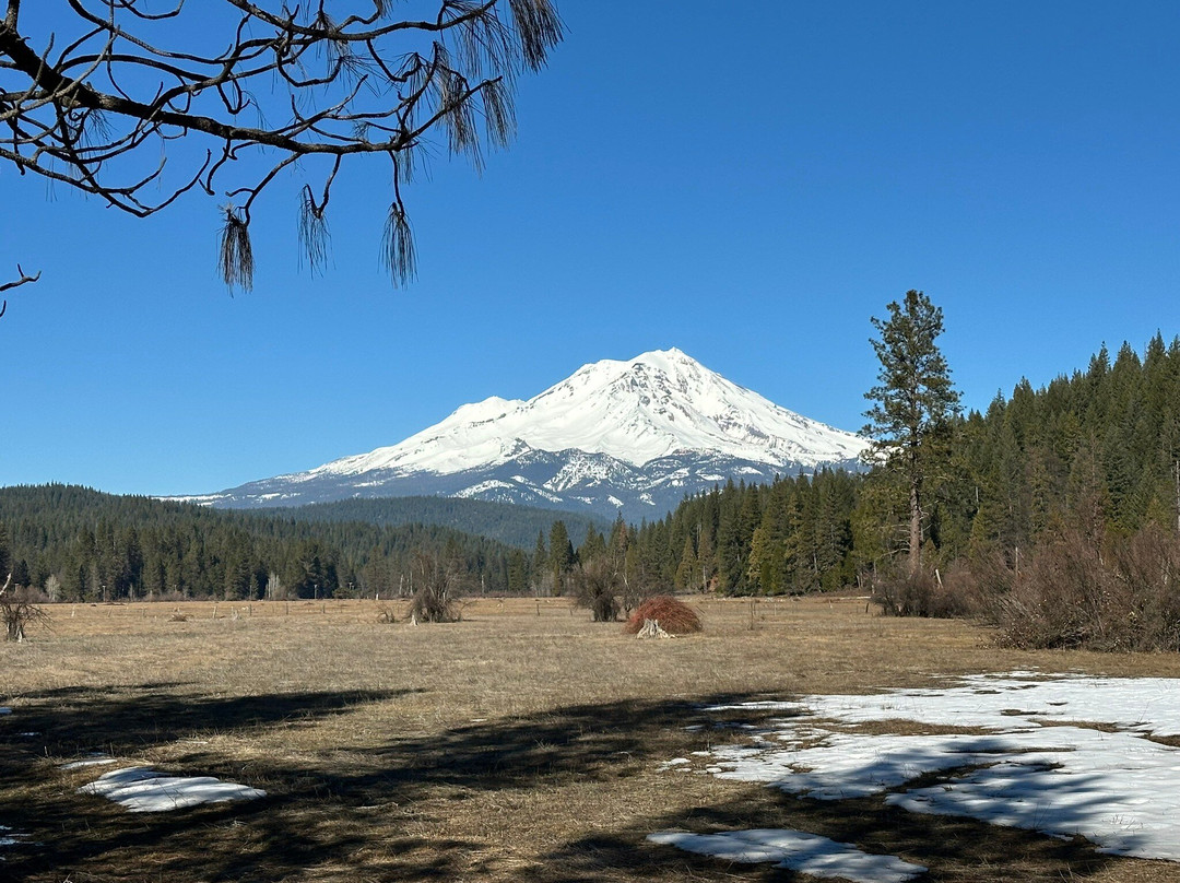 McCloud River Bed and Breakfast主图