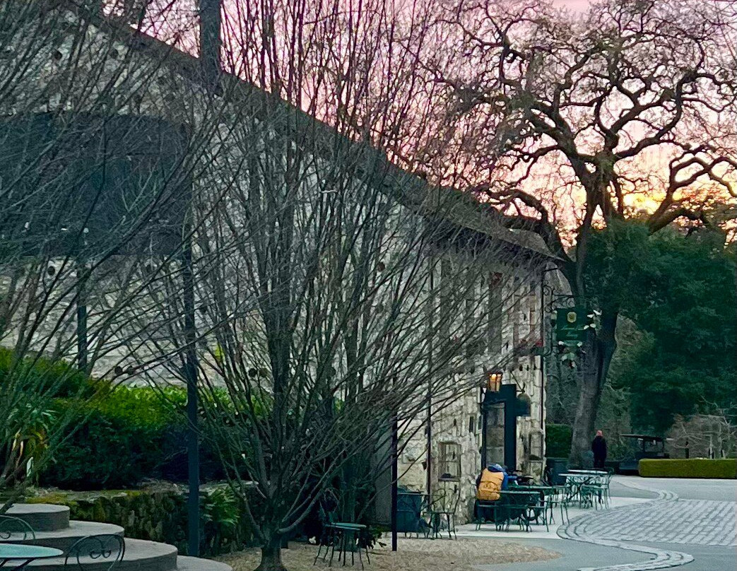 Buena Vista Winery景点图片