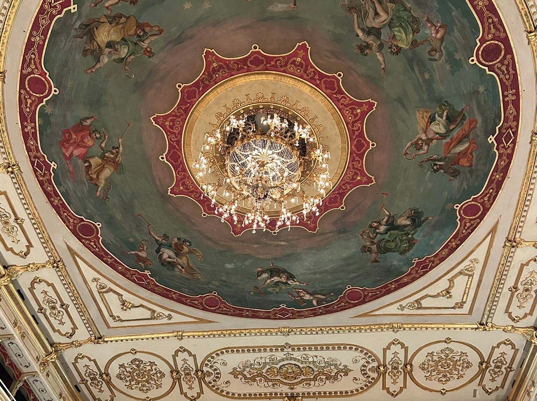 Teatro Regio景点图片