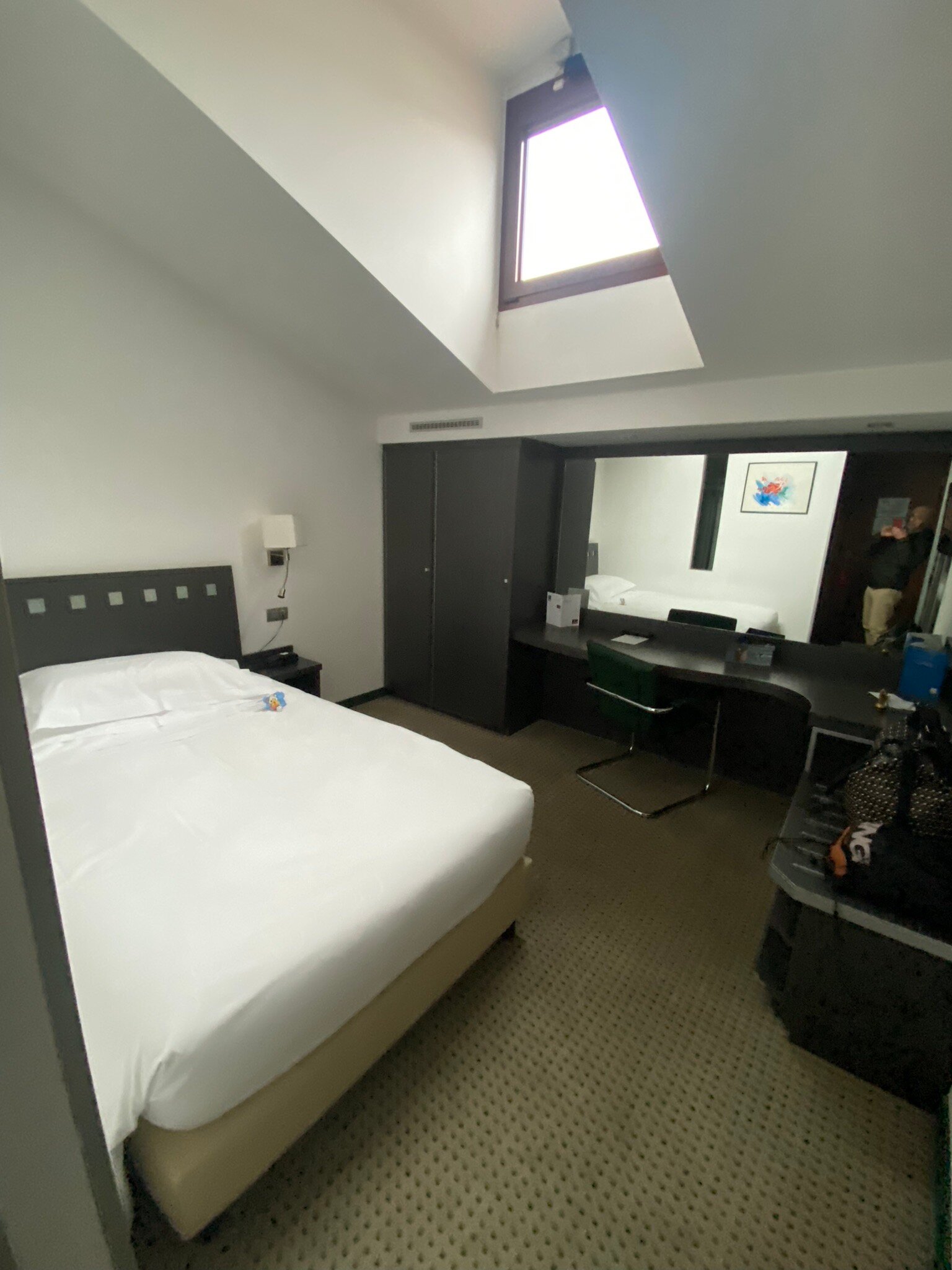 Arli Hotel Business & Wellness-官方