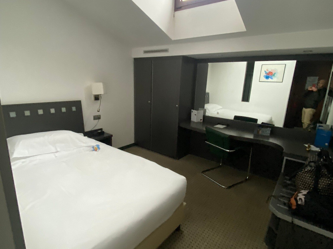 Arli Hotel Business & Wellness主图