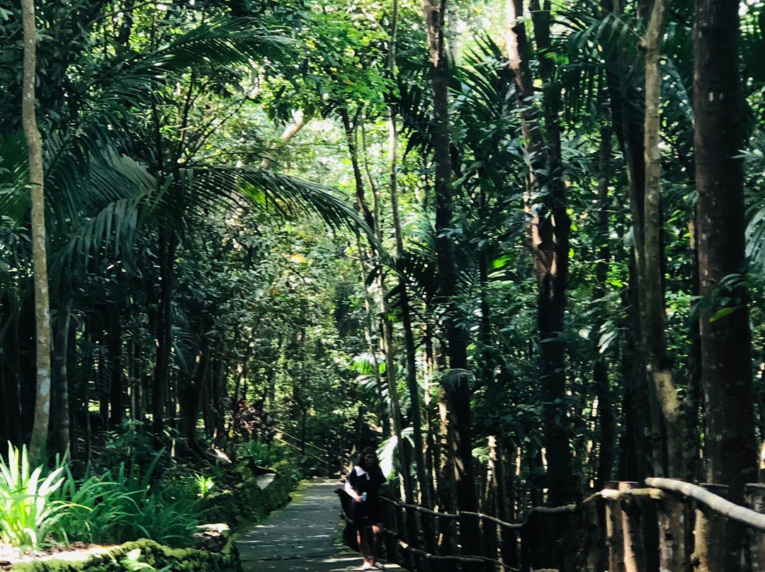 Kawa-Kawa Hill and Natural Park-Ligao必去景点