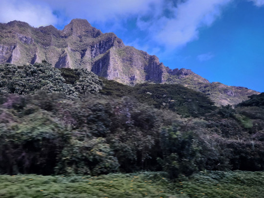 The Pineapple EXP-瓦胡岛必去景点