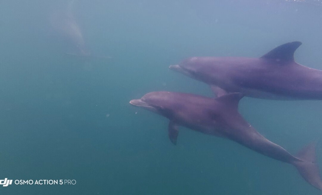 Sunset Charters-哥芬湾必去景点