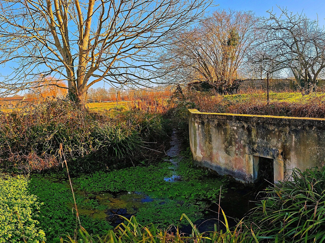 Lavoir Du Renou