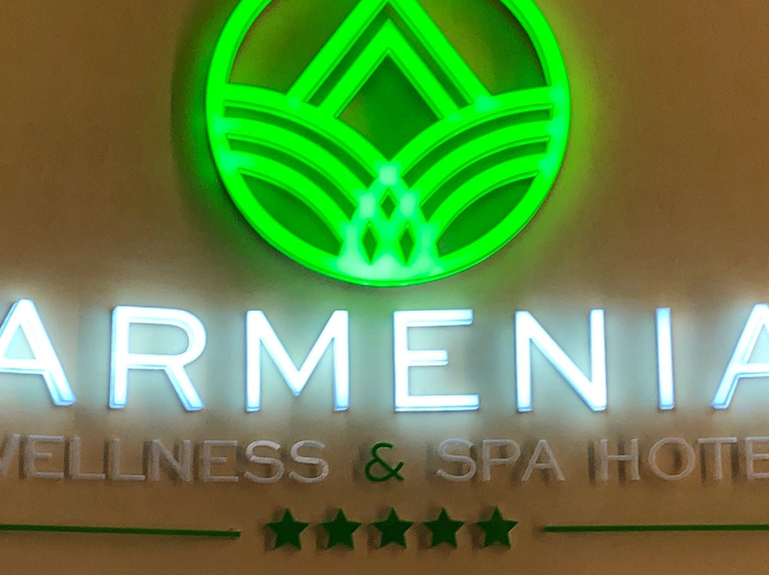 Armenia Wellness & Spa Hotel主图