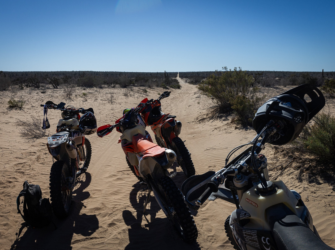 Captain Baja-Los Barriles必去景点