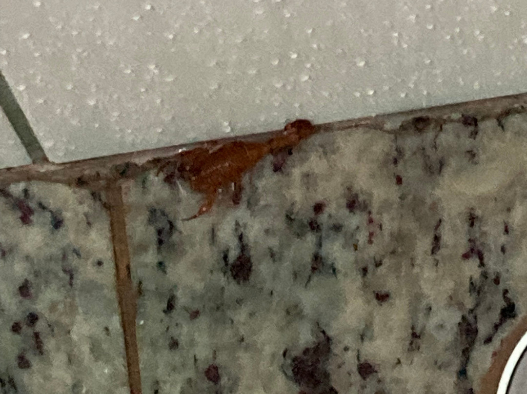 Hotel Golden Park Ribeirão Preto主图