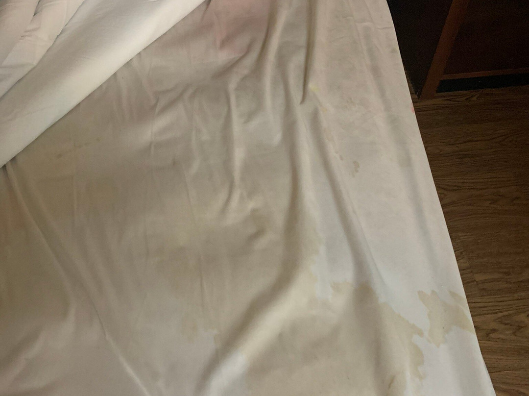 本宁顿贝斯特韦斯特酒店主图