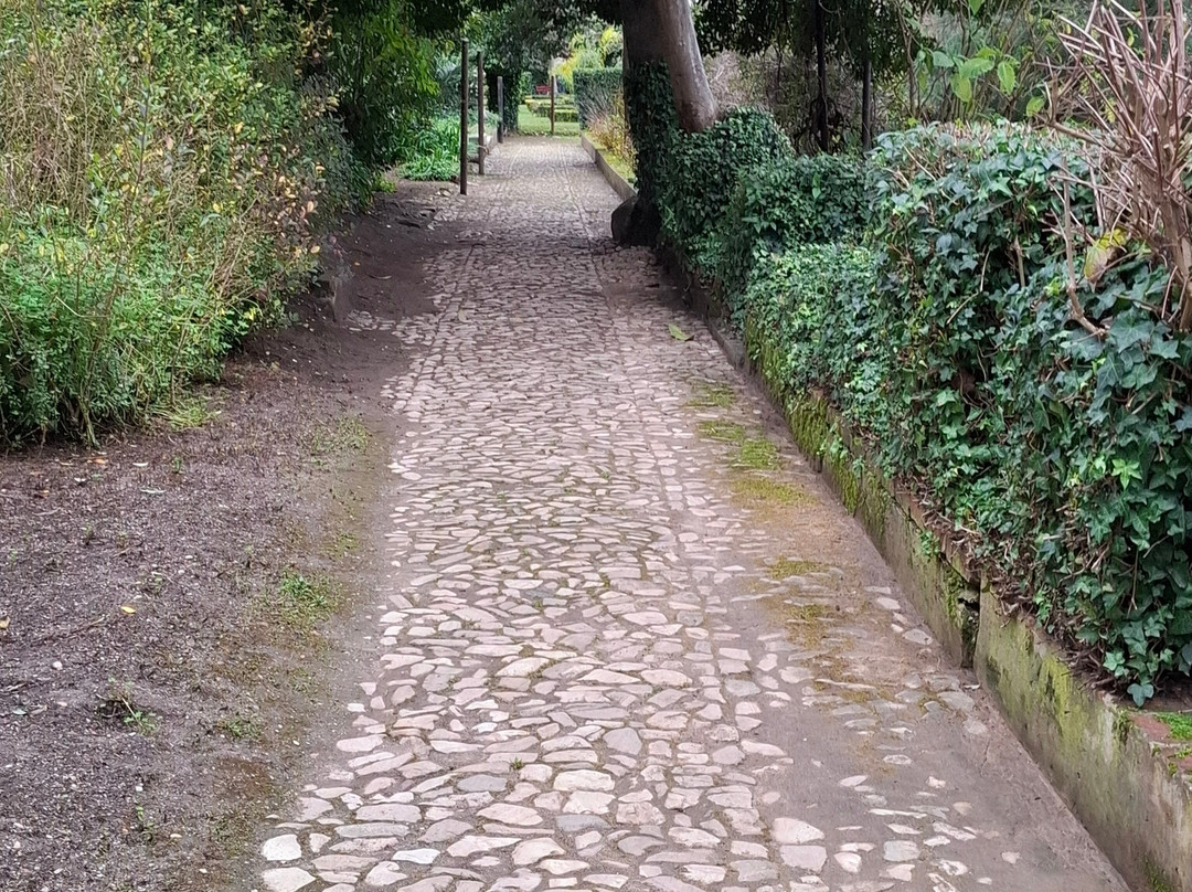 Jardim Do Castelo景点图片