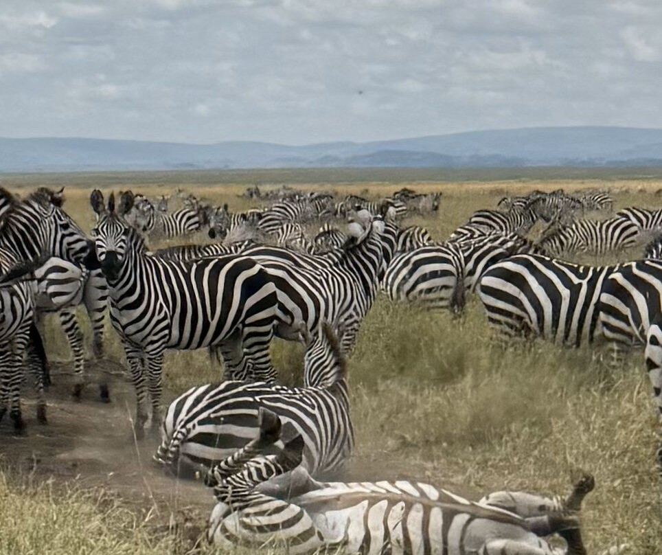 Sense of Africa, Namibia-温德和克必去景点
