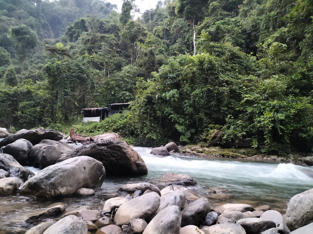 Jungle Immersion Bukit Lawang-武吉拉旺必去景点