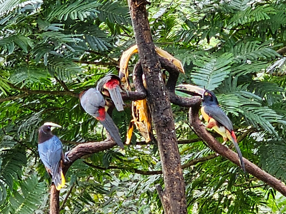 Dave & Dave's Costa Rica Nature Park景点图片