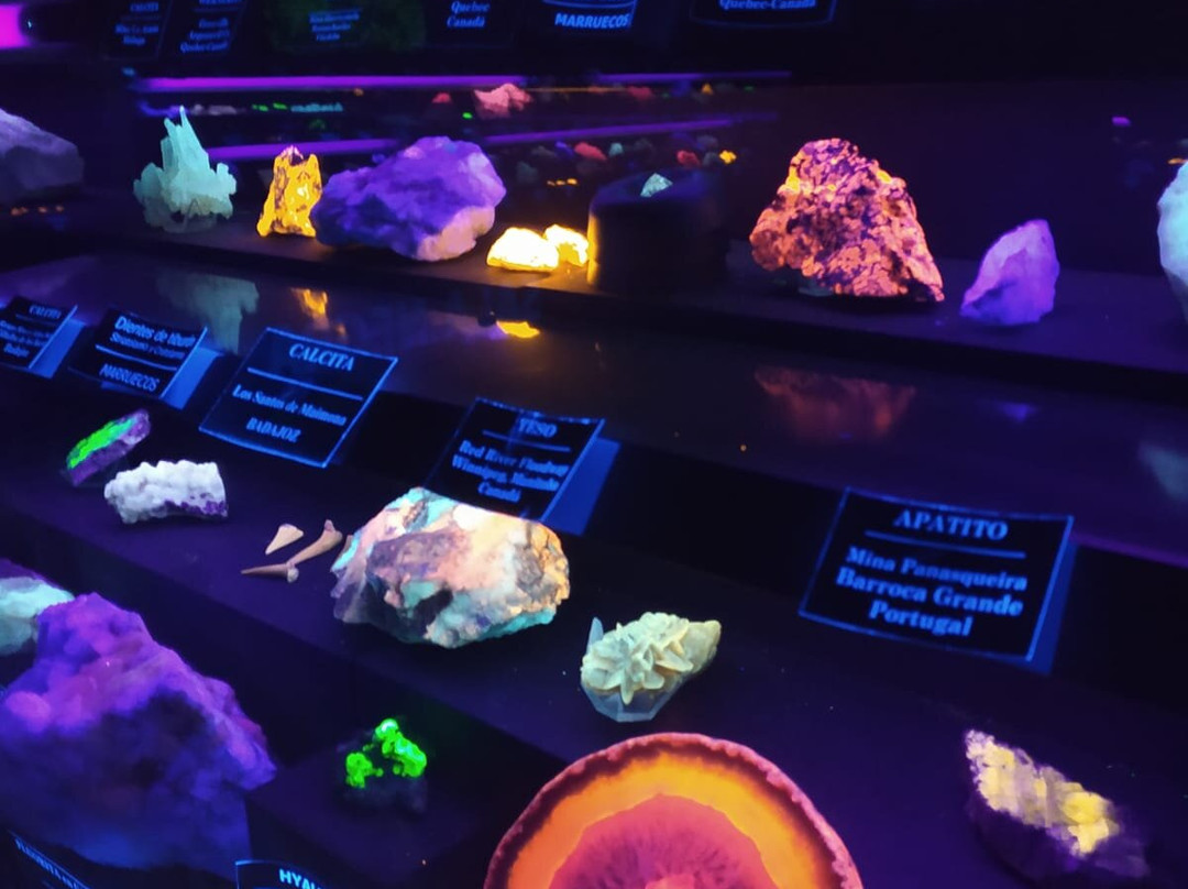 Museo Geologico y Minero de Santa Marta景点图片