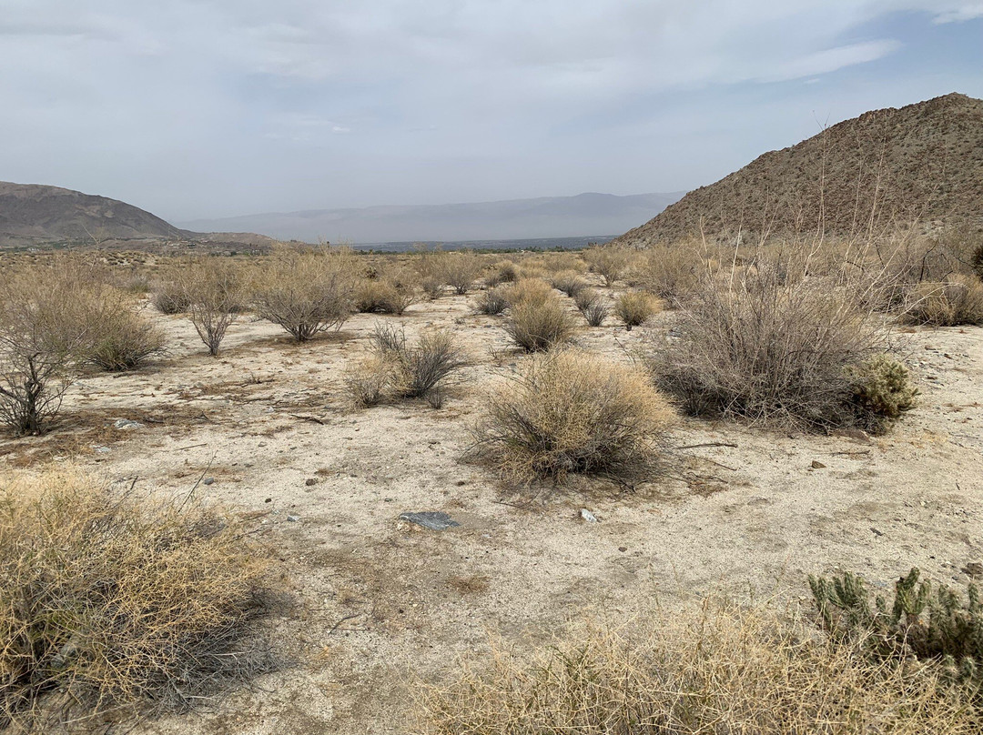 Randall Henderson Loop Trail-棕榈沙漠必去景点