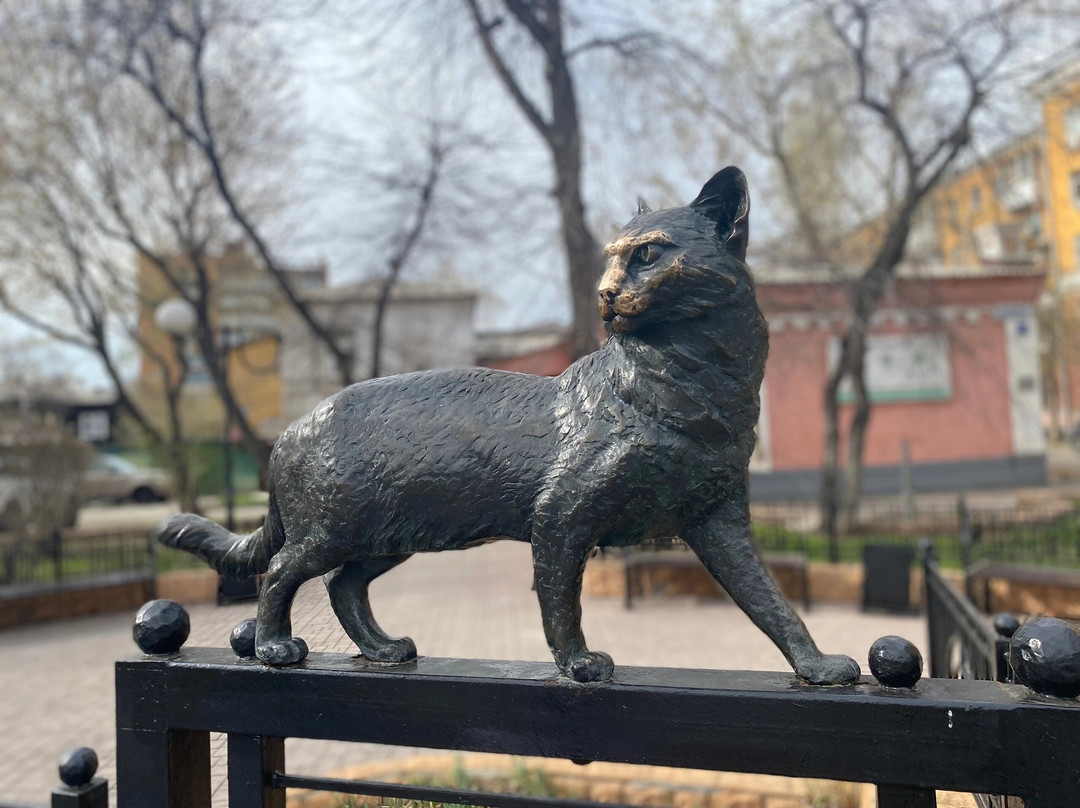 Irkutskaya Koshka景点图片