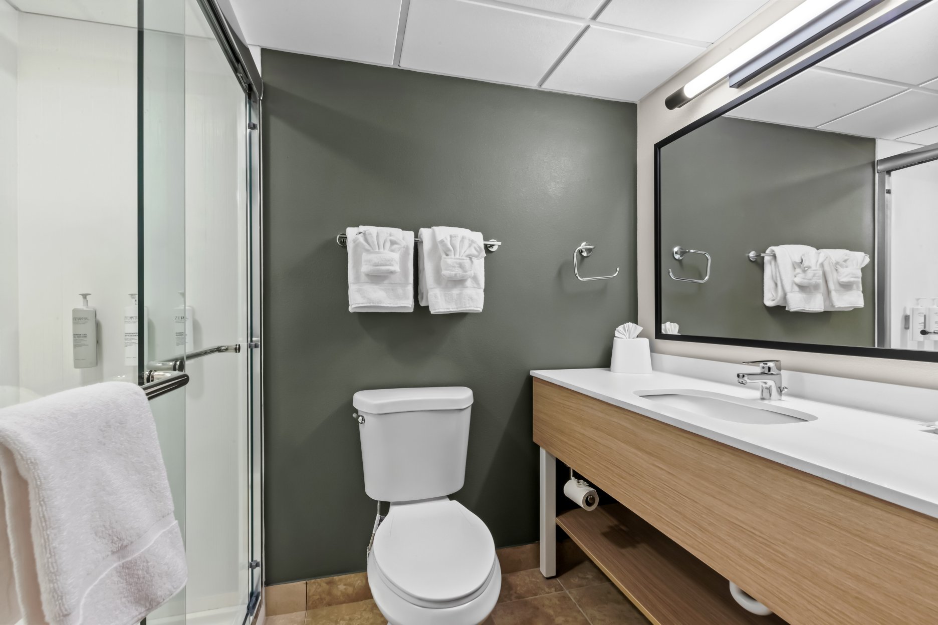 希尔顿宾塞勒姆费城Spark酒店-浴室