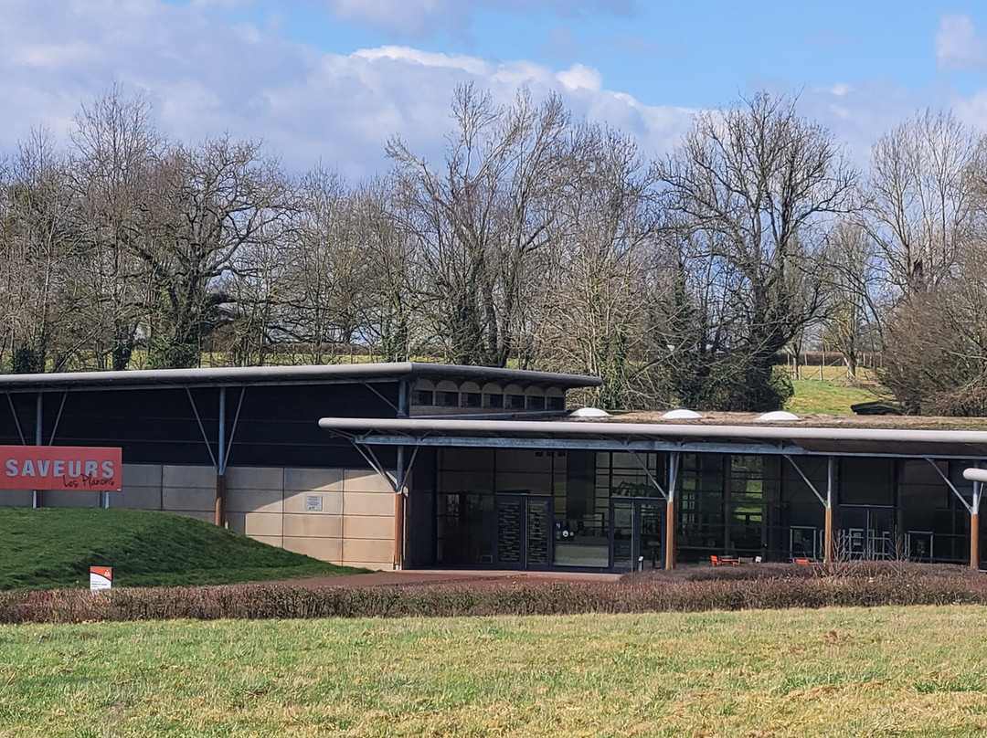 Domaine des Saveurs - Les Planons-Saint-Cyr-sur-Menthon必去景点