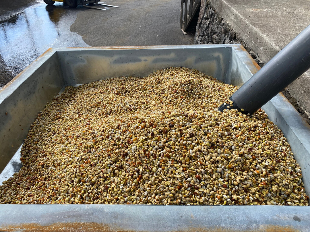 Ka'u Coffee Mill-帕哈拉必去景点