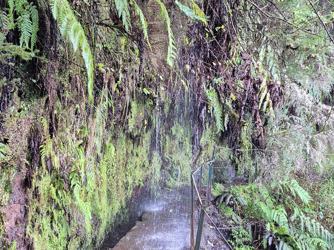 Levada Do Caldeirao Verde-Santana必去景点