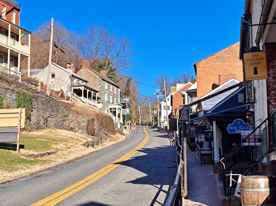 The Town's Inn主图