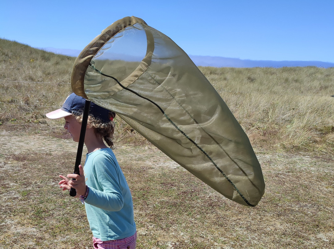 Maison Des Abers - Ti An Aberioù-Saint-Pabu必去景点