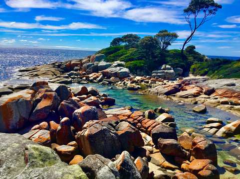Easy Tiger Cinema-圣海伦火山必去景点