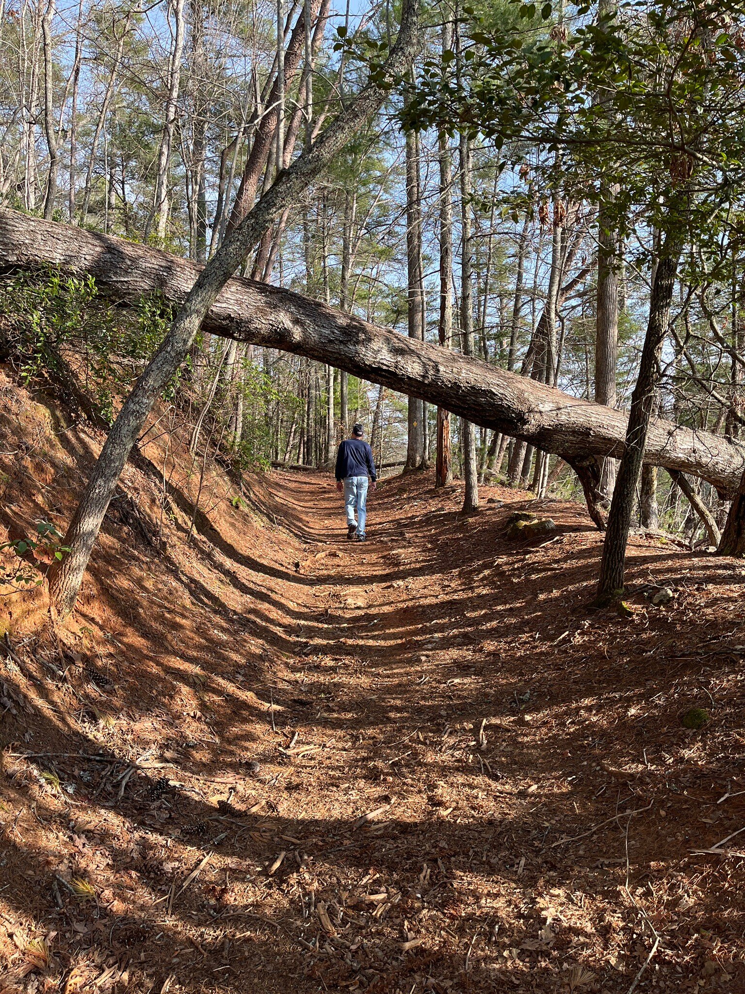 Unicoi State Park & Lodge-官方