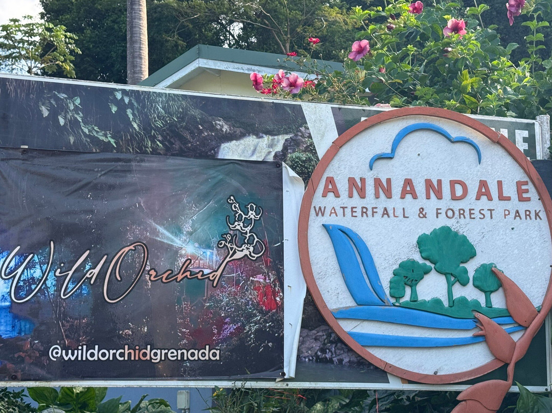 Annandale Falls景点图片