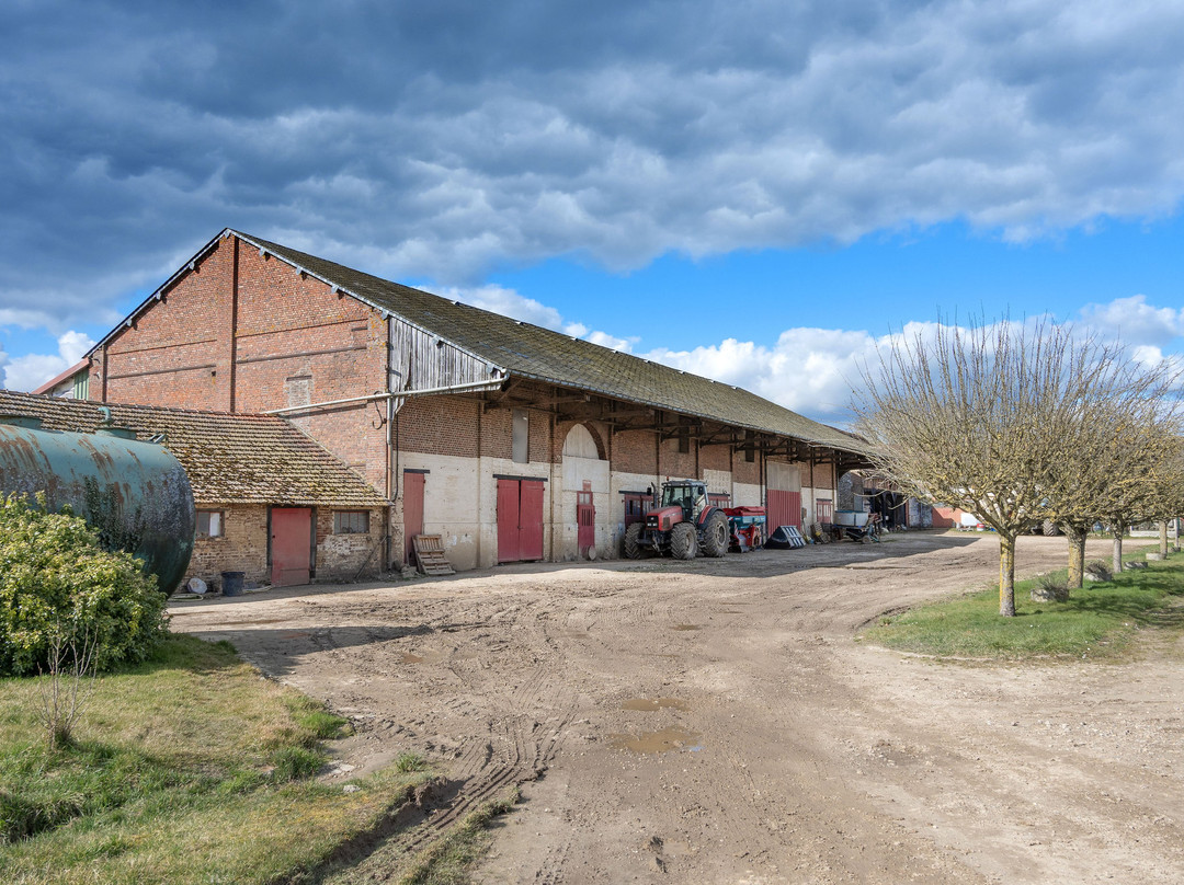 Volailles Et Escargots De La Broche