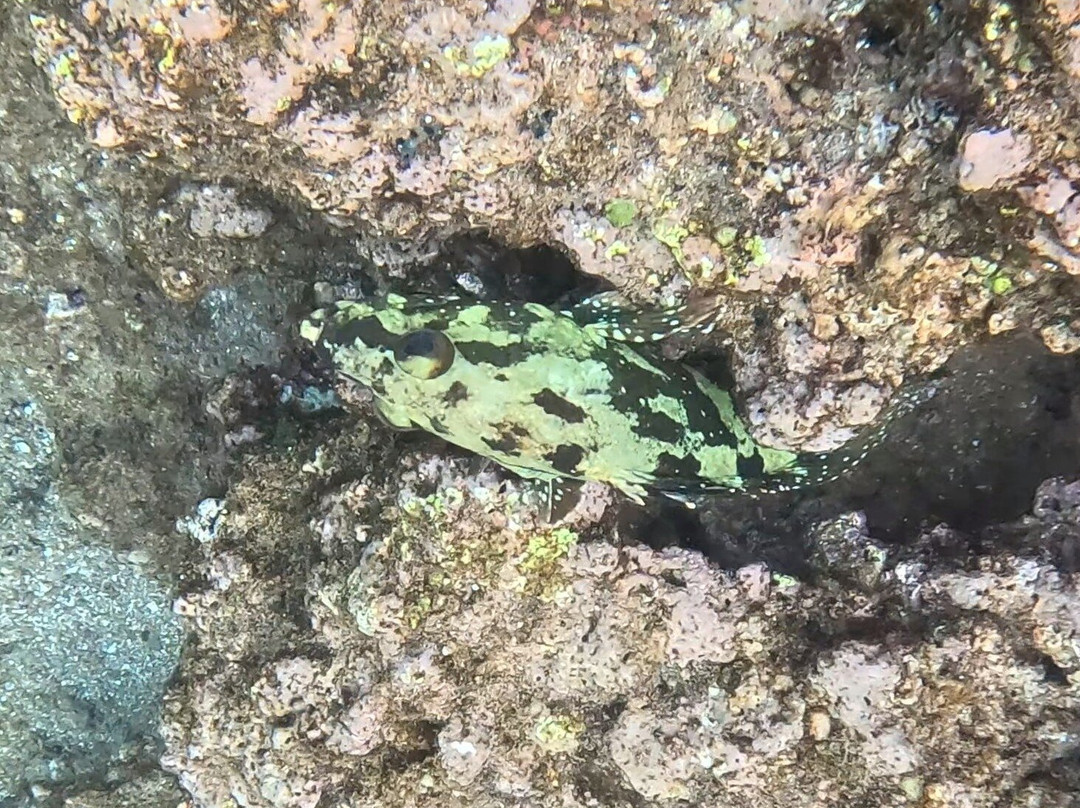 Rabida Island-Rabida必去景点