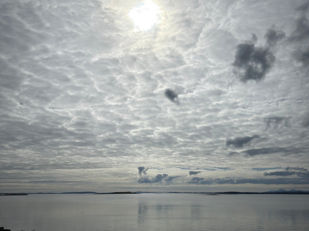 Ards Peninsula景点图片