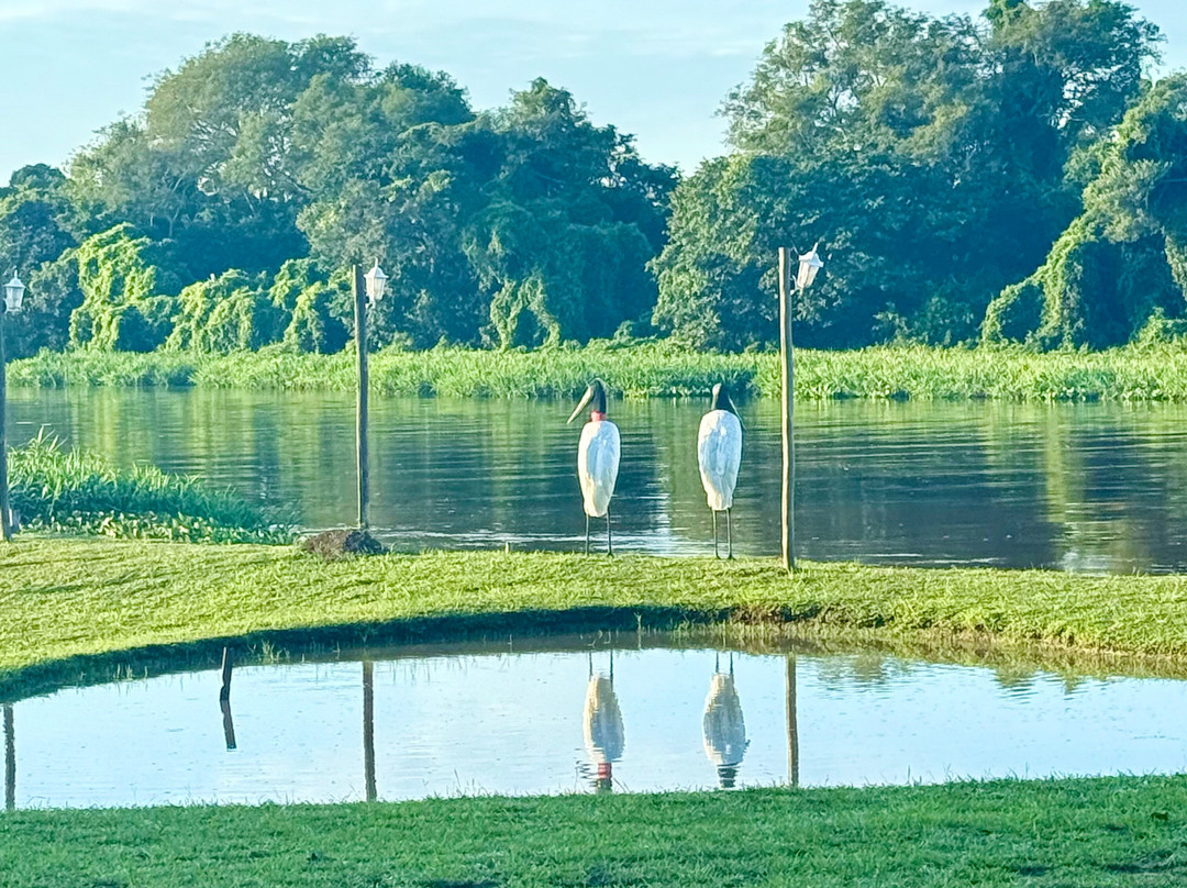 Pantanal丛林旅馆主图