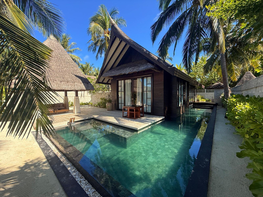 Ozen Reserve Bolifushi主图