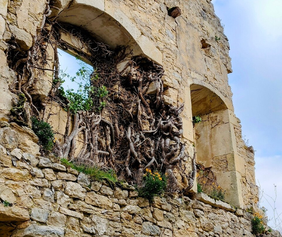 Monasterio Santa Maria de Rioseco景点图片